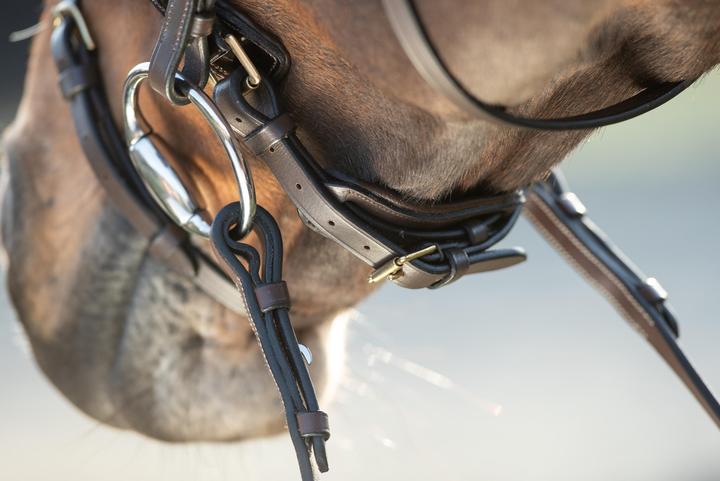 Actual product image HFI Master Shiny