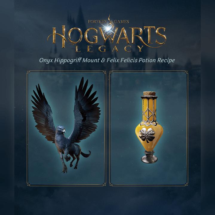 Produktbild WB Hogwarts Legacy (PS5, EN)