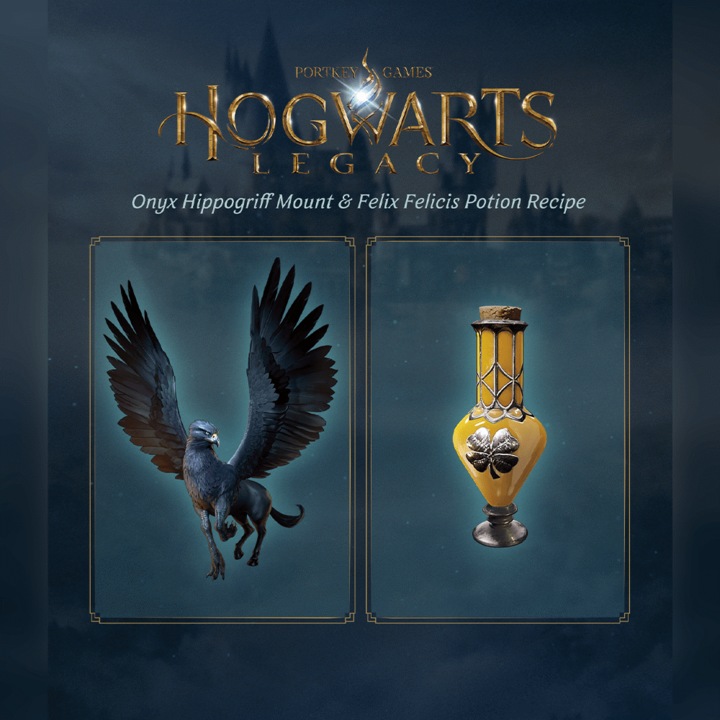 Actual product image WB Hogwarts Legacy (PS5, EN)