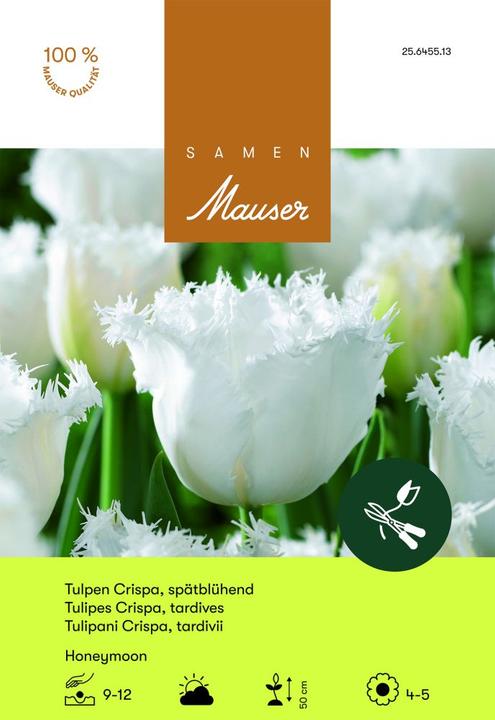 Produktbild Samen Mauser Honeymoon (Blumenzwiebeln)