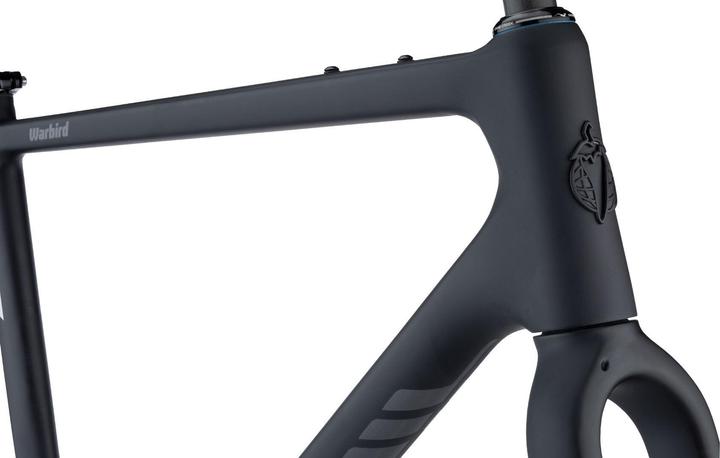 Image du produit Salsa Warbird Carbon Frame Set, 650B/700C, 61cm, black