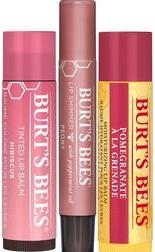 Produktbild Burt's Bees Mistletoe Kiss Gift (Lippenbalsam)