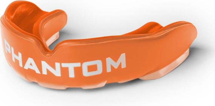 Martial arts protective equipment