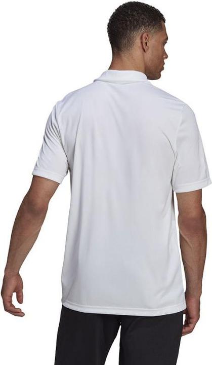 Actual product image adidas Entrada 22 polo shirt men (XXL)