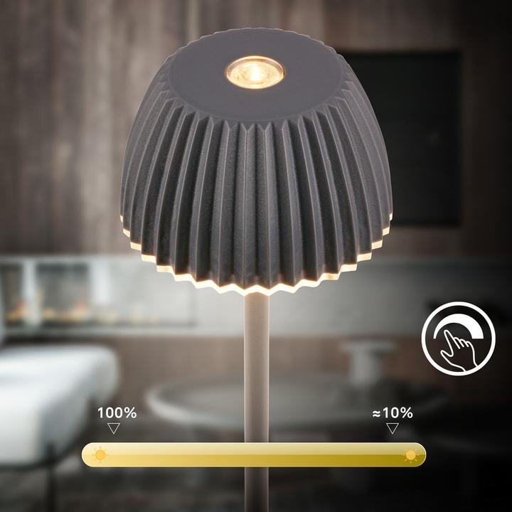 Produktbild Briloner Brilo unplugged RIFFLE Akku Nano Tischleuchte mit Lichtkante - Anthrazit (130 lm)