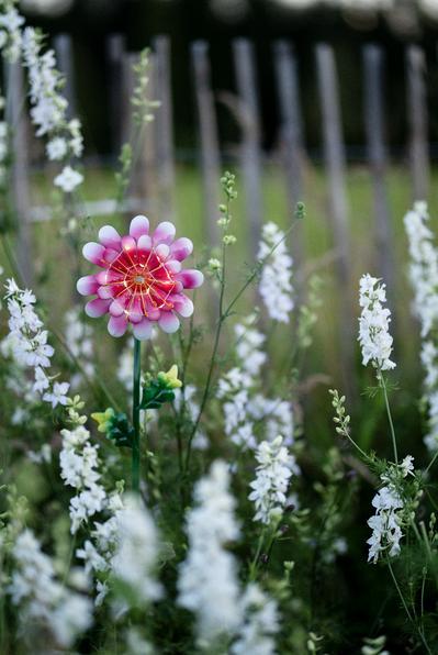Image du produit Star Trading Chandeliernder Sterny