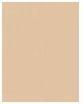 Actual product image Dermacol Acnecover (Honey)