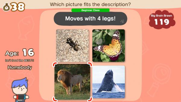 Actual product image Nintendo Great Brain Academy: Brain vs. (Switch, EN)