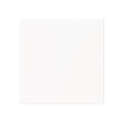 white RAL number (similar) 9016
