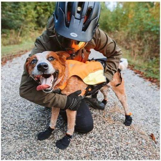 Image du produit Non-Stop Dogwear Protector (M, Chaussures pour chien)