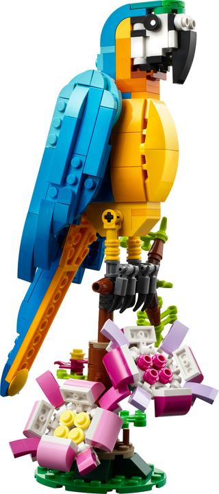 Image du produit LEGO 31136 Perroquet exotique (31136, LEGO Creator 3-in-1)