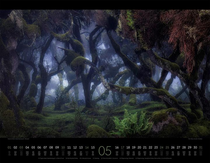 Image du produit Nightscapes Kalender 2026 (54 x 42 cm, Couverture rigide, Allemand, Français, Anglais)