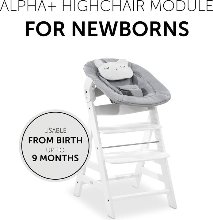 Produktbild Hauck Alpha Bouncer 2in1 Pastel Bear Light Grey