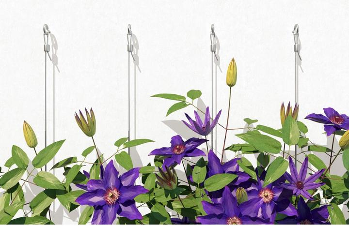Image du produit Fischer Gasbetondübel GB 8 (4 pcs)