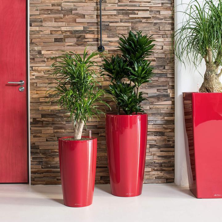 Actual product image Lechuza Rondo (40 x 75 cm)