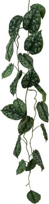 Actual product image Gasper Scindapsus garland