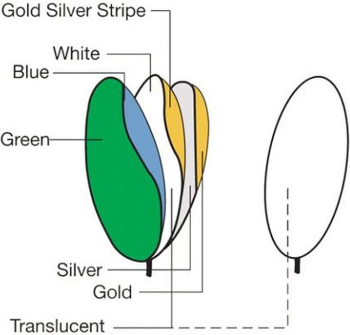 Immagine prodotto Falcon Eyes Riflettore 7 in 1 CRK7-42 SLG 107 cm (Riflettore pieghevole, 107 cm)