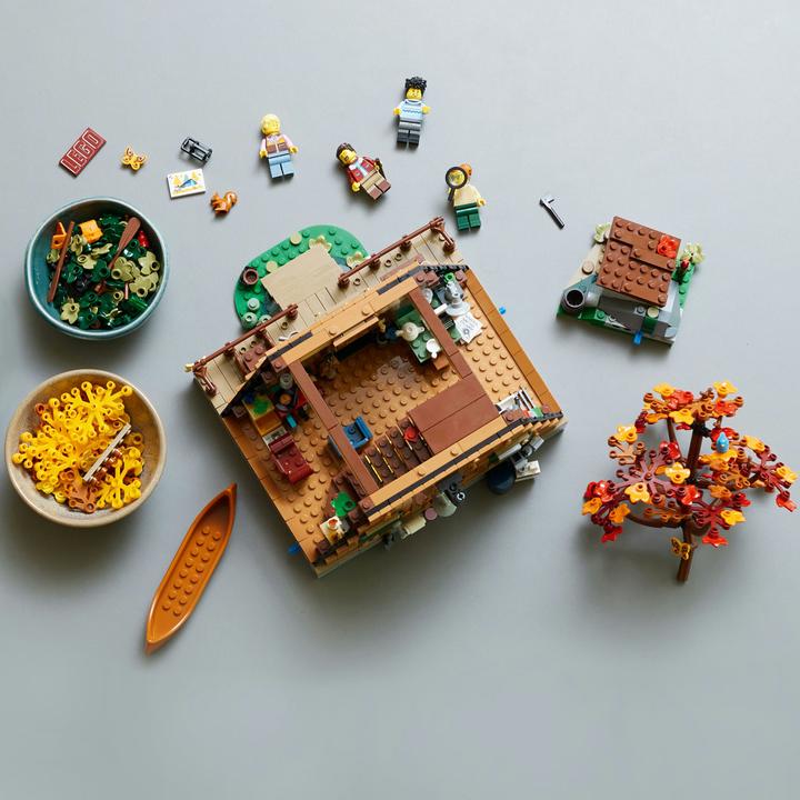 Immagine prodotto LEGO Idee Finn Cottage 21338 (21338, LEGO Ideas, Set LEGO rari)