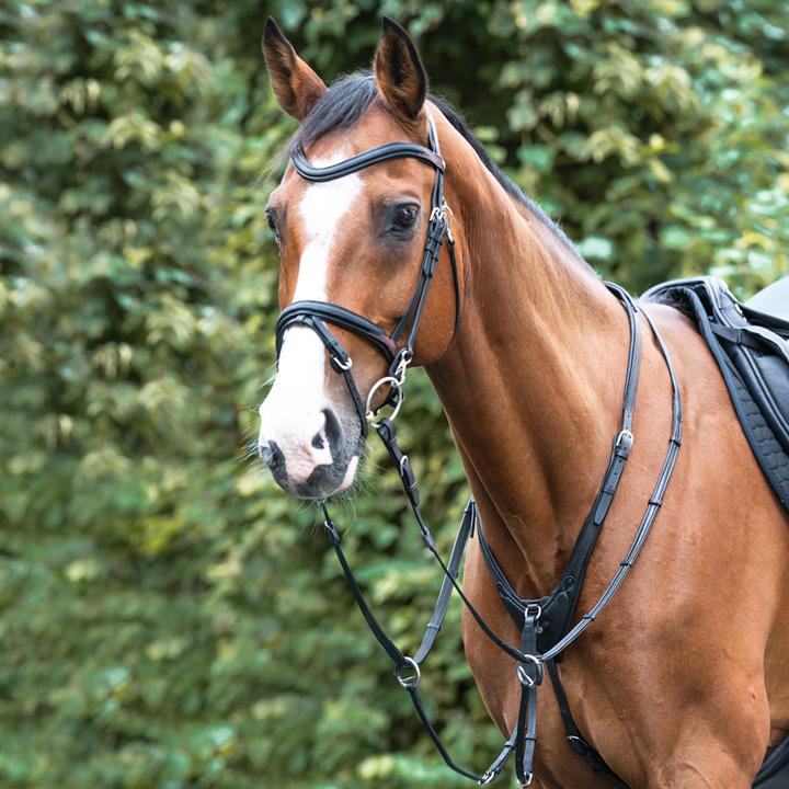 Image du produit Kavalkade Azriel