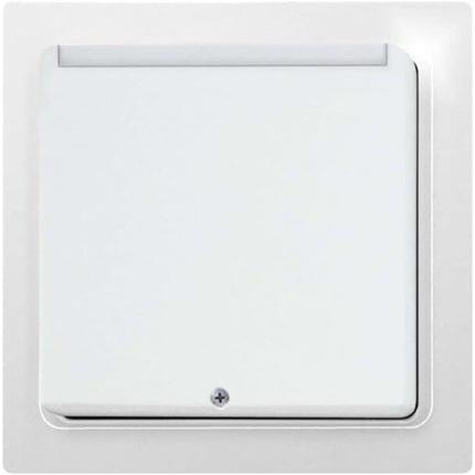 Actual product image Eltako FKF65-wg Radio switch surface-mounted Range max. (in free field) 30 m
