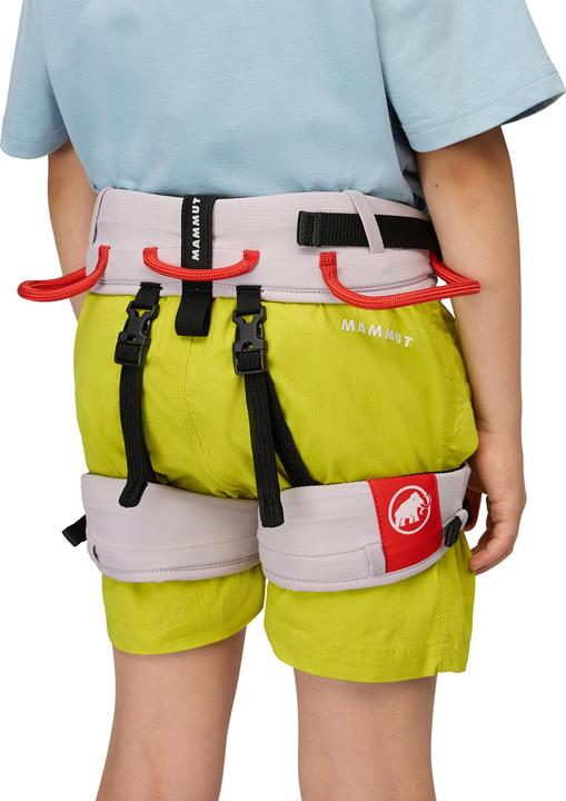 Actual product image Mammut Ophir 2.0 (One size)