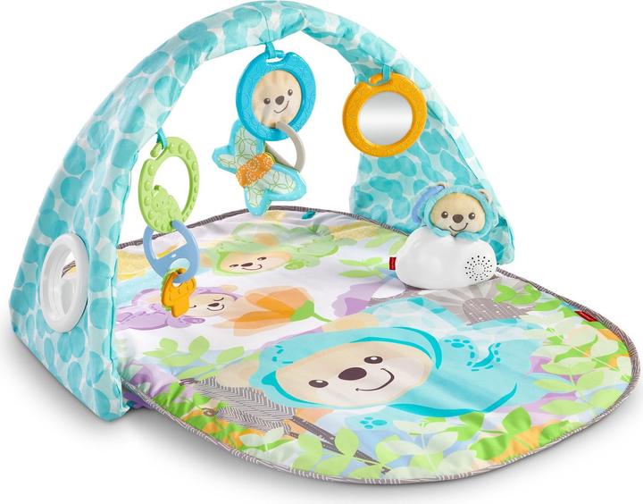 Actual product image Fisher-Price Butterfly Dreams Musical Playtime Gym