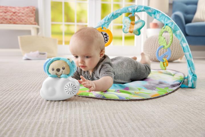 Actual product image Fisher-Price Butterfly Dreams Musical Playtime Gym