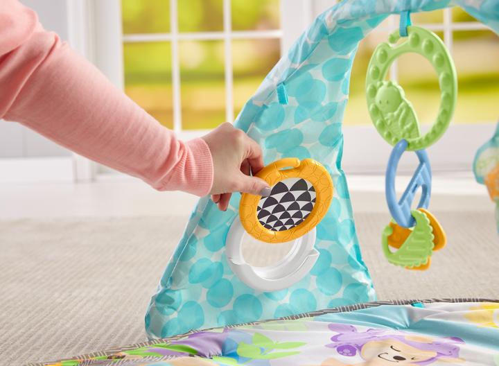 Actual product image Fisher-Price Butterfly Dreams Musical Playtime Gym