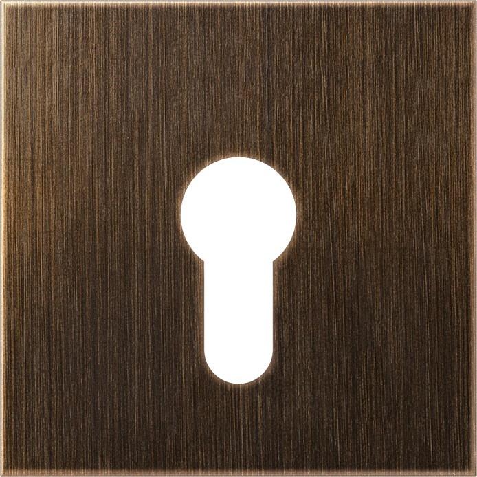 Actual product image JUNG Key/Abd Switch LS ms mt ME2925AT