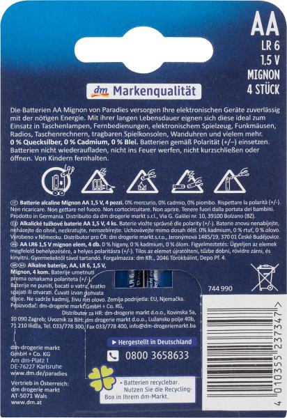 Actual product image Paradies Power Alkaline (4 pcs., AA)