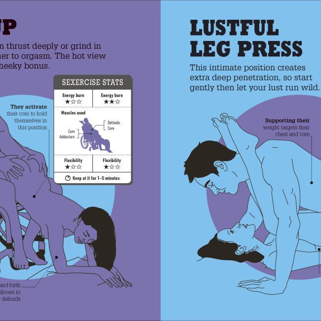 Image du produit Kama Sutra Workout New Edition (Anglais, DK, 2022)