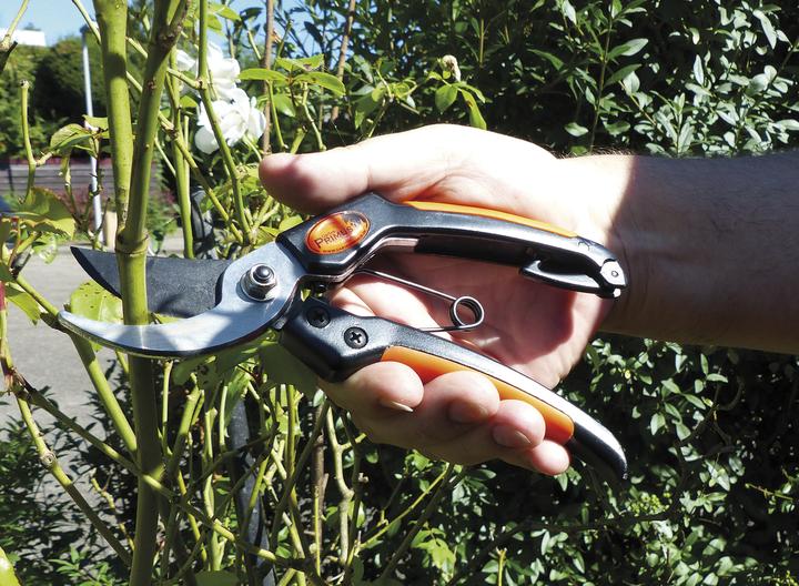 Produktbild Garten Primus Herren-Gartenschere