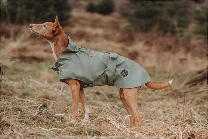 Actual product image Hunter Milford (35, Dog coat)