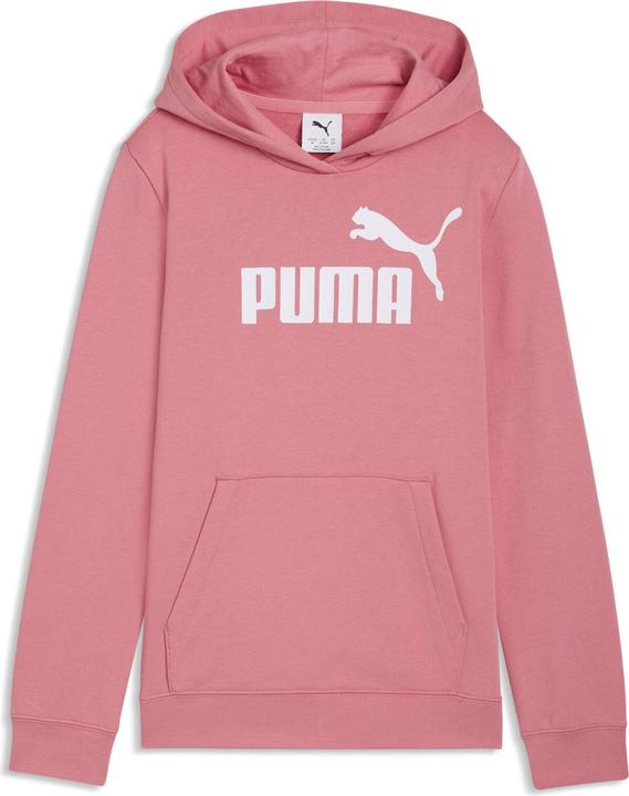 Image du produit Puma ESS No. 1 Logo Hoodie TR G (128)