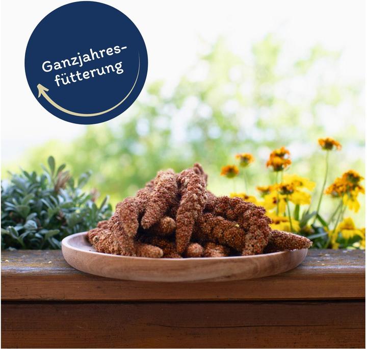 Produktbild Lyra Pet Kolbenhirse (1 x, 1 kg)