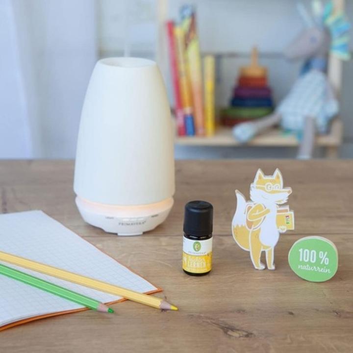 Image du produit Primavera Leichter Lernen