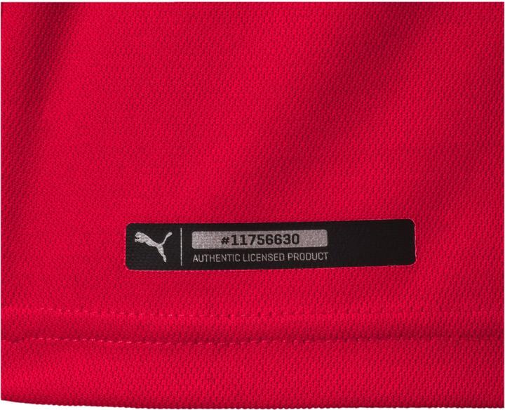 Immagine prodotto Puma Serbia Home Replica Coppa del Mondo 2018 (L)