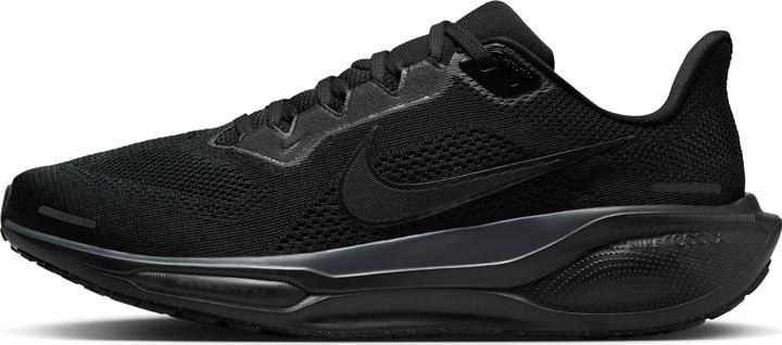 Image du produit Nike Pegasus 41 (42)