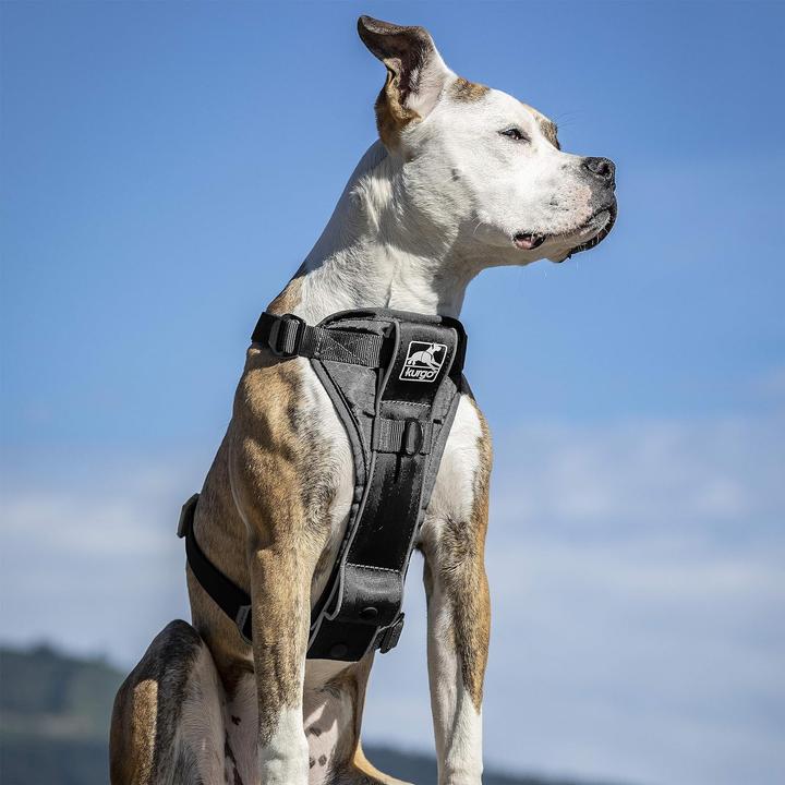 Immagine prodotto Kurgo Tru-Fit Smart Harness (S, Cane, Generale, Jogging, Passeggiare, Sport cane)