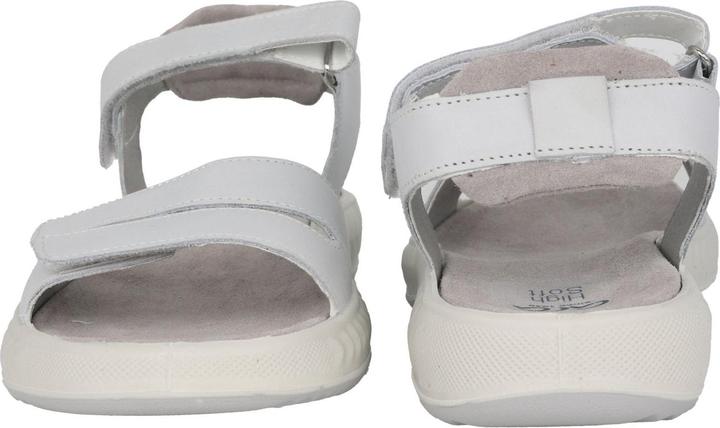 Actual product image Ara Avio-S (42)