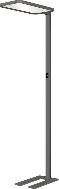 Hansa Floor Lamp Sapphire LED Anthracite (7500 lm)