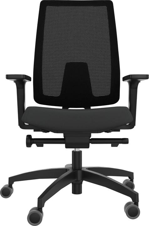 Actual product image Dauphin 7056 SLP