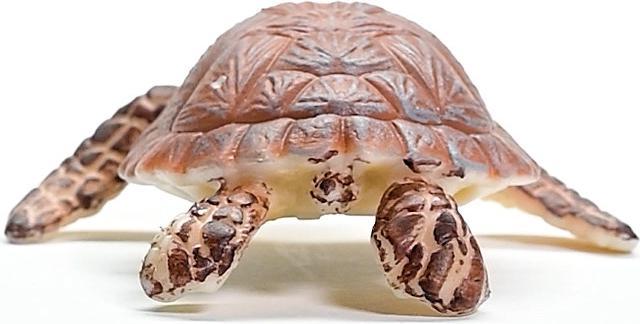 Image du produit Schleich Echte Karettschildkröte