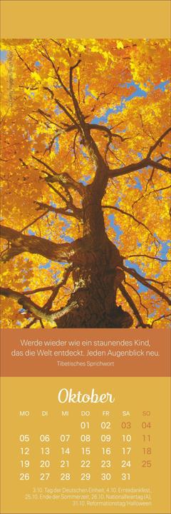 Produktbild Achtsamkeit Lesezeichen & Kalender 2026 (6 x 18 cm)