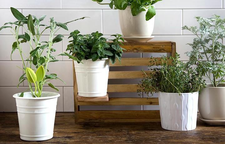 Produktbild Peleg Design Leafers