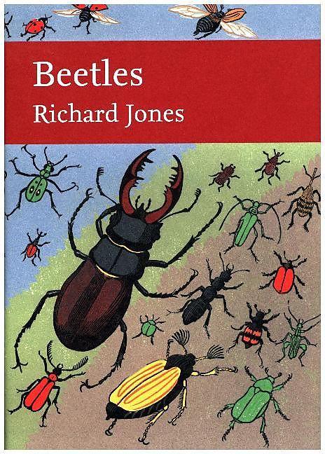 Produktbild Beetles (Englisch, Richard Jones, 2018)