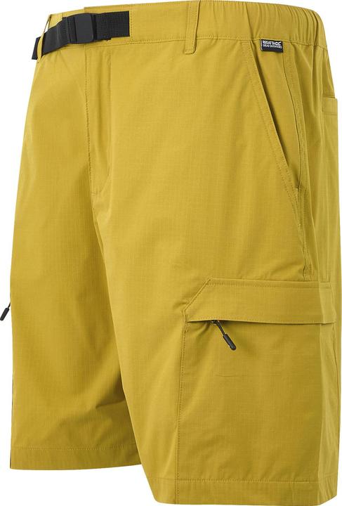 Actual product image Regatta Mens Mallen Shorts (L)