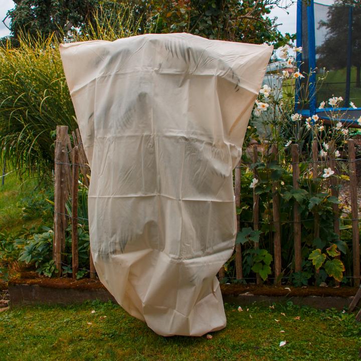 Image du produit Colibri Capuche d'hiver XXL