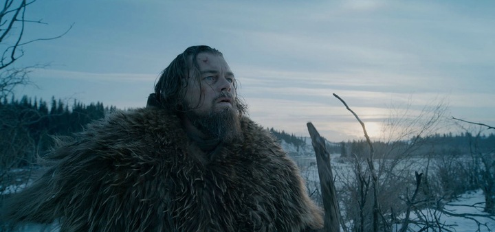 Image du produit Le Revenant Le Revenant (Blu-ray, 2015, Allemand, Anglais, Français)