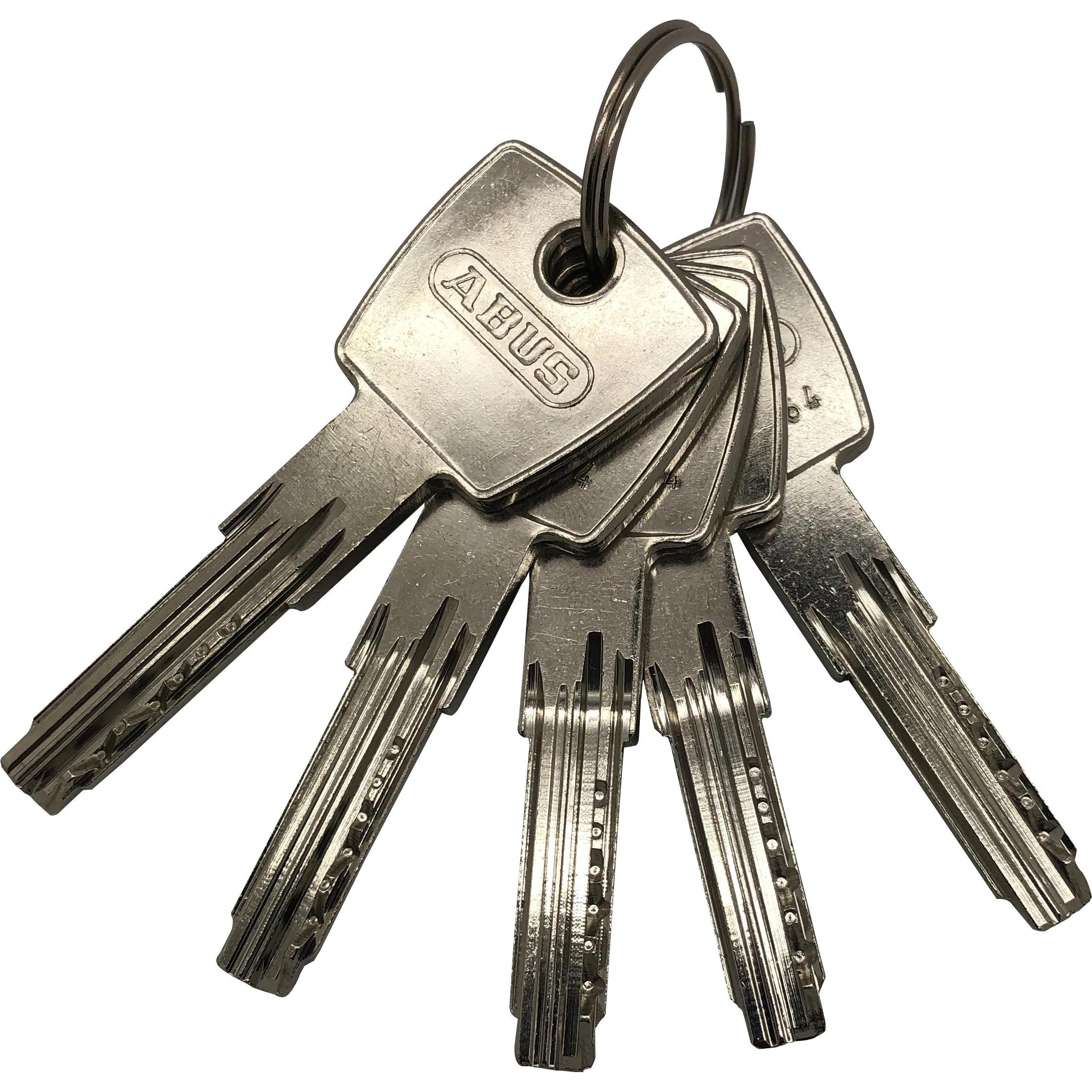 Abus, Türschloss + Schliesszylinder, Profilzylinder D6PSN 30/30 BK Messing Vernickeltes Messing, 30/30 mm (Profilzylinde...